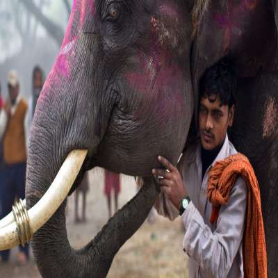 Sonepur Mela Trip